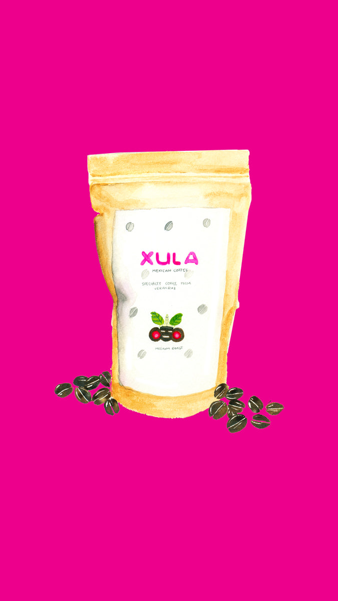 Specialty Coffee Xula Mexican Coffee