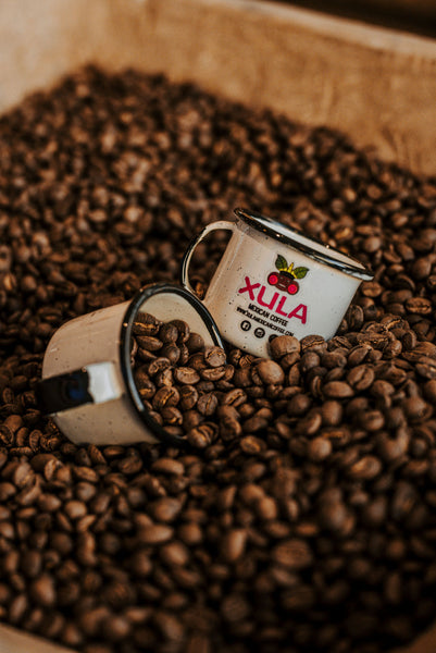 Xula Mexican Coffee - Medium Roast Specialty Coffee - Xula Mexican Coffee