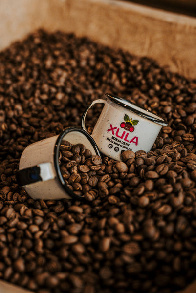 Xula Mexican Coffee - Dark Roast Specialty Coffee - Xula Mexican Coffee